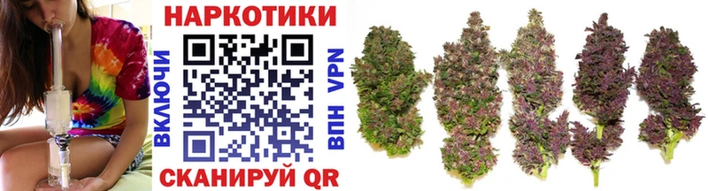 Купить закладку Чкаловск АМФ  Меф мяу мяу  Гашиш  КОКАИН  Alpha-PVP 